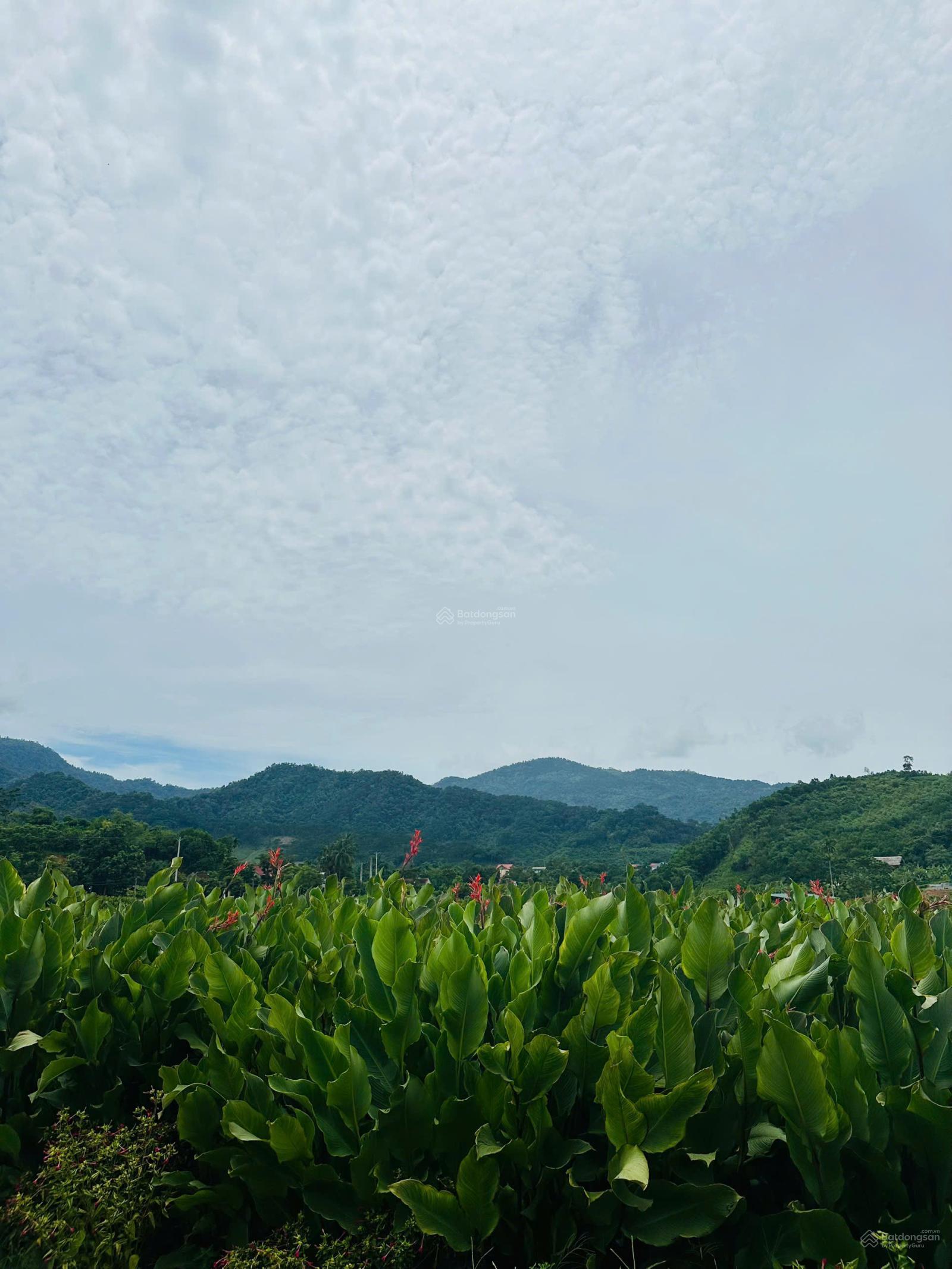 Bán đất tại Khánh Thượng, Ba Vì, Hà Nội, 1,85 tỷ, 1100m2