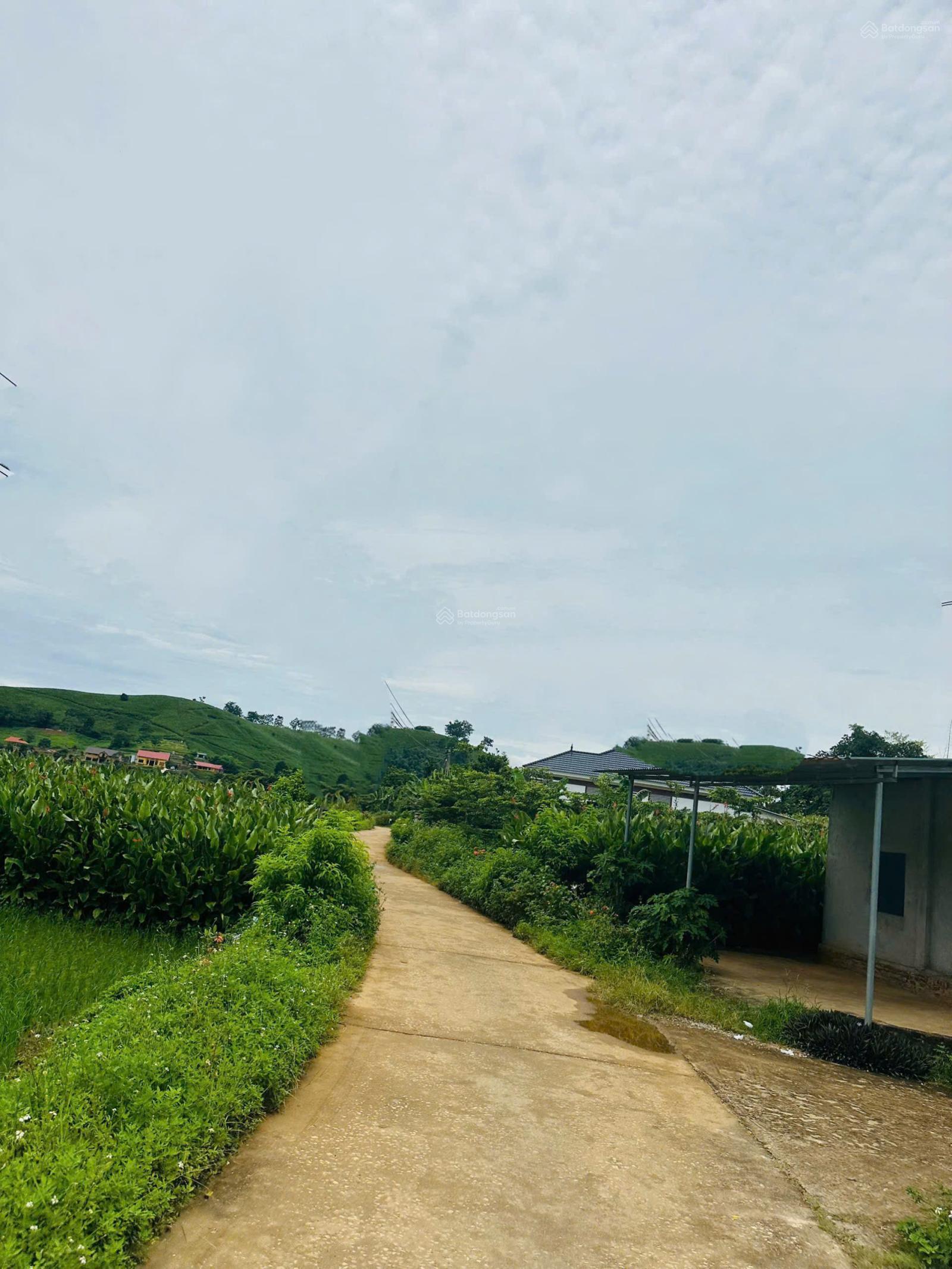 Bán đất tại Khánh Thượng, Ba Vì, Hà Nội, 1,85 tỷ, 1100m2