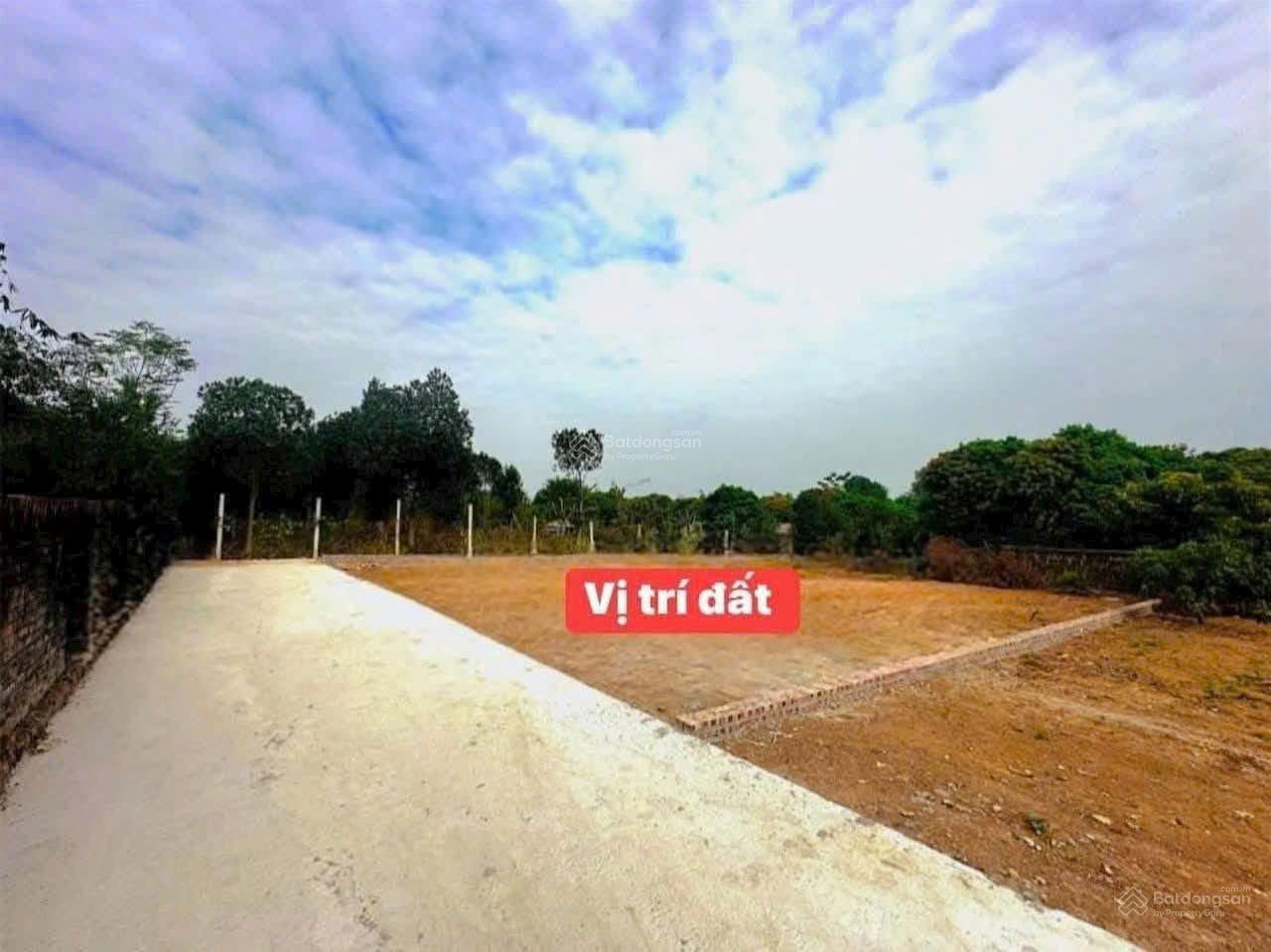 Lô đất full thổ cư vuông vắn tại Cẩm Lĩnh, Ba Vì, Hà Nội. Khu vực đông dân cư, cách TT Hà Nội 60km