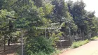 Đất vườn Full Sầu riêng đã cho thu hoạch tại
Xã Kim Long. TP. Hồ Chí Minh ( Láng Lớn. Châu Đức cũ