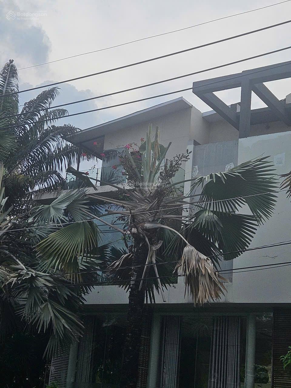 Cho thuê biệt thự góc Nam Quang góc 2 mặt tiền kinh doanh mọi ngành nghề khu Cảnh Đồi Quận 7