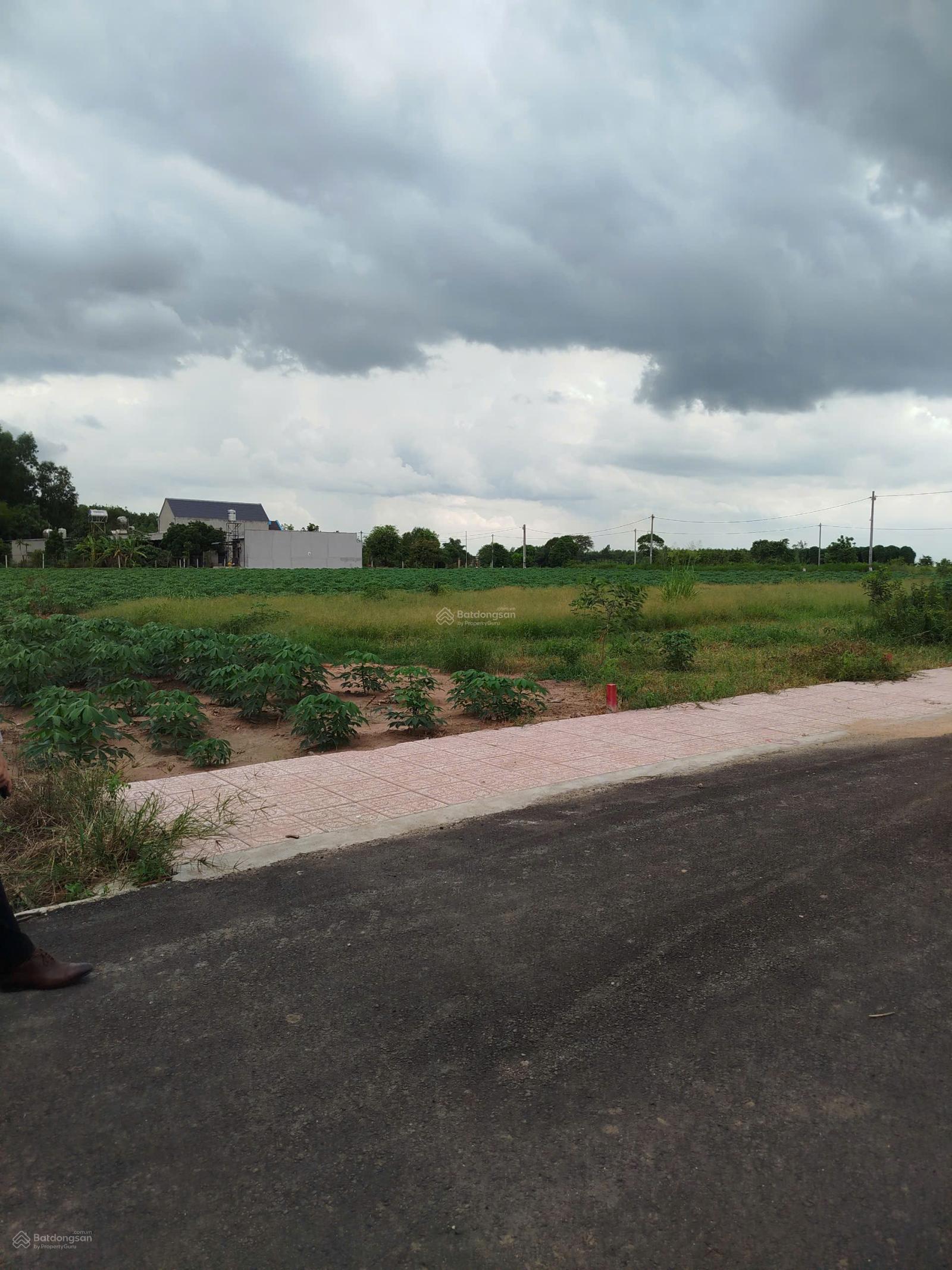 Bán đất nền 100m2 tại Phước Bình, Long Thành, Đồng Nai, chỉ với giá ưu đãi 2 tỷ Bán đất nền 100m2 tại Phước Bình, Long Thành, Đồng Nai, chỉ với giá ưu đãi 2 tỷ