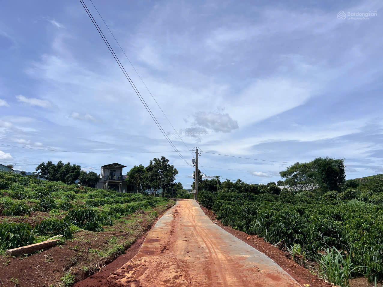 Đất nghỉ dưỡng tại Xã Mê Linh, Lâm Hà, Lâm Đồng, 790 triệu, 250 m2 view đẹp uy tín Đất nghỉ dưỡng tại Xã Mê Linh, Lâm Hà, Lâm Đồng, 790 triệu, 250 m2 view đẹp uy tín