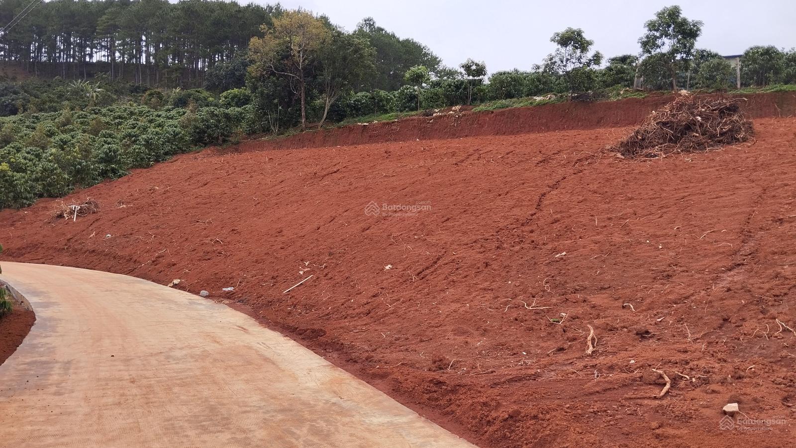 Bán lô F0 Giá cực tốt - Thế dương sẵn thổ cư tại Mê Linh