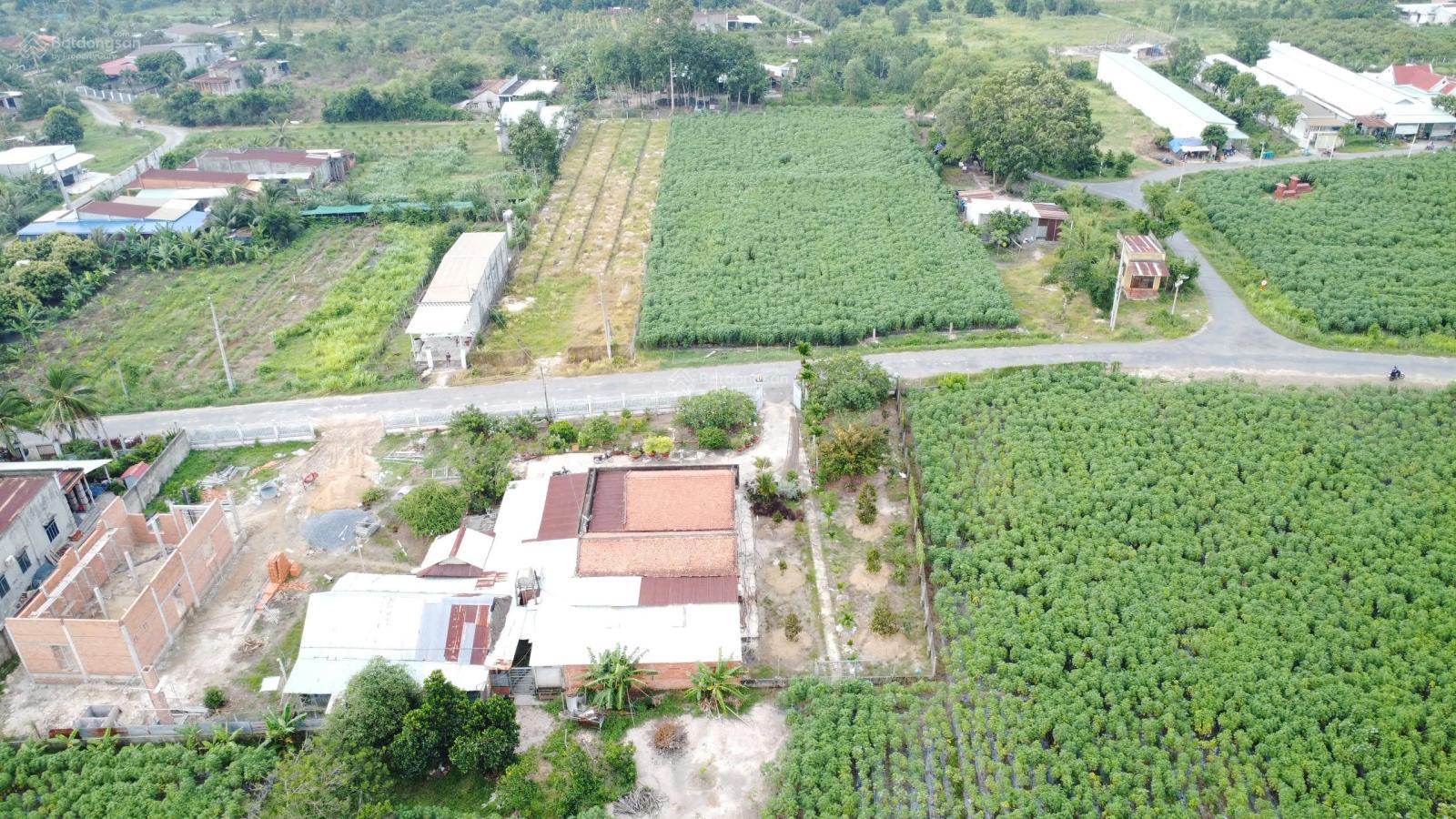 Đất đẹp giá tốt Phước Đông, Phước Thạnh, Gò Dầu 800tr thương lượng