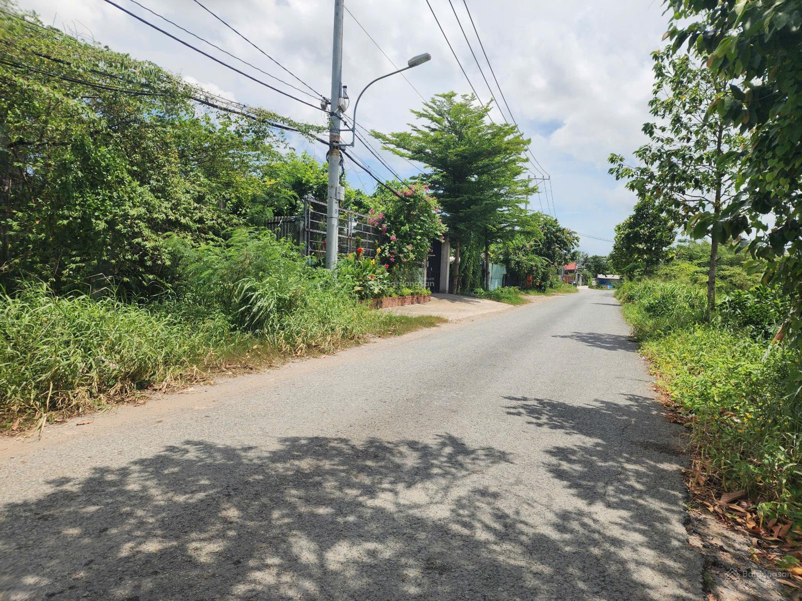 Bán đất mặt tiền đường Tân Liêm, Phong Phú, Bình Chánh, Hồ Chí Minh