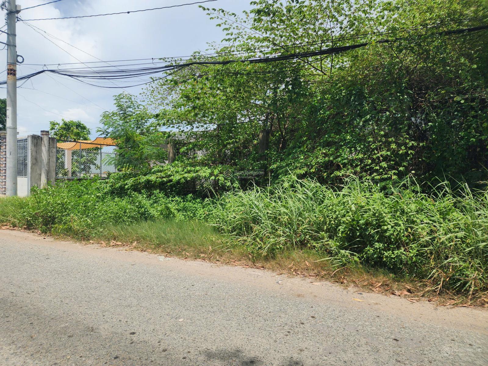 Bán đất mặt tiền đường Tân Liêm, Phong Phú, Bình Chánh, Hồ Chí Minh
