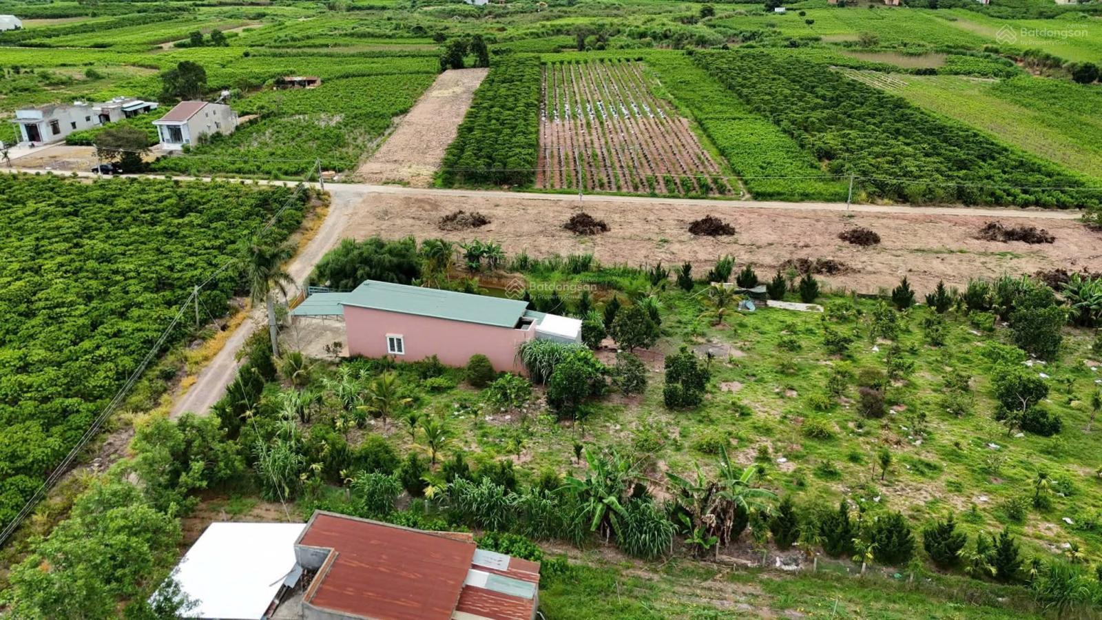 Lô đất cực đẹp dành cho nhà đầu tư cạnh bên trung tâm Đức Trọng