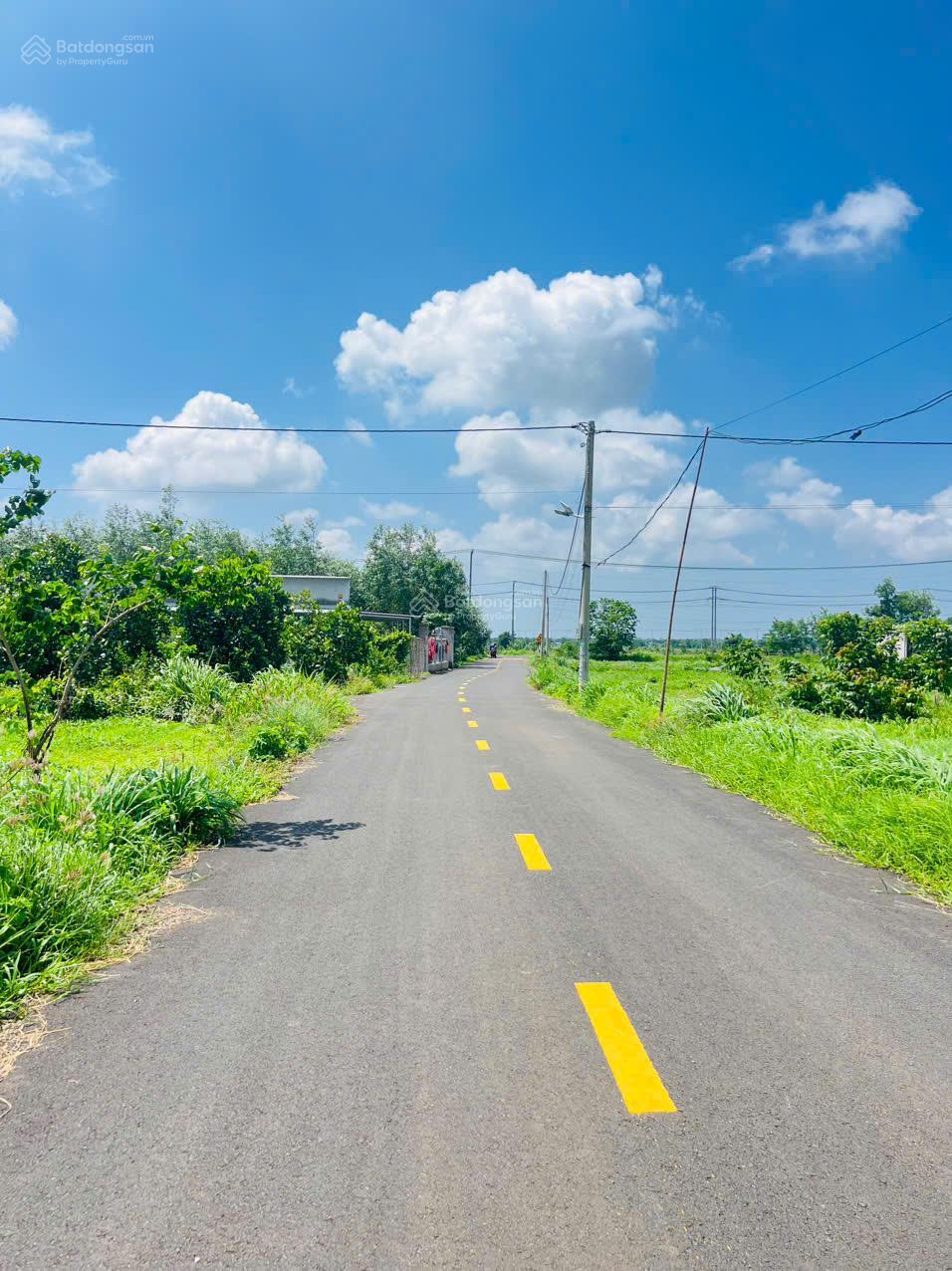 Bán đất đầu tư Khu Công Nghiệp Đất Đỏ , BRVT Bán đất đầu tư Khu Công Nghiệp Đất Đỏ , BRVT