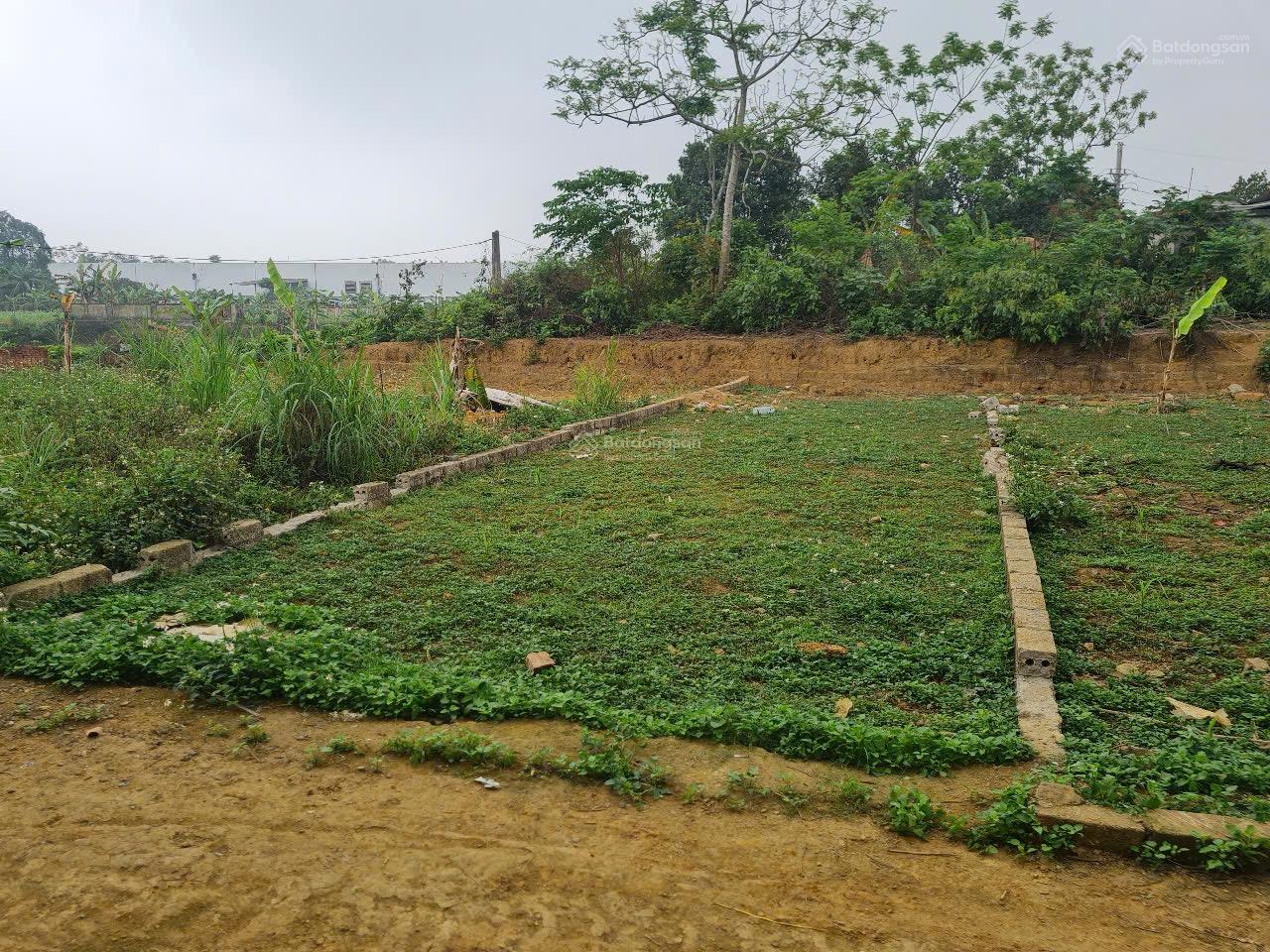 Bán đất tại Đường Tân Xã, Xã Tân Xã, Thạch Thất, Hà Nội, 38 triệu / m2, 80.6 m2 bao đẹp uy tín