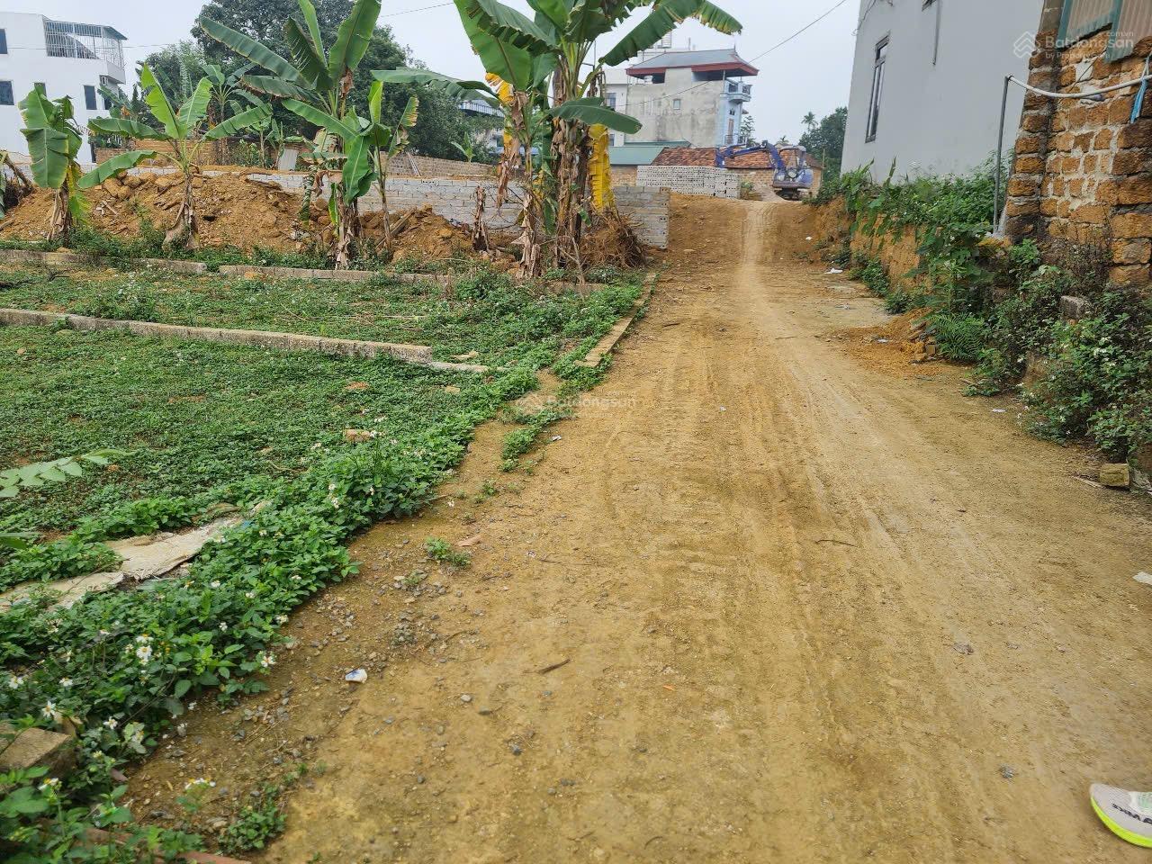 Bán đất tại Đường Tân Xã, Xã Tân Xã, Thạch Thất, Hà Nội, 38 triệu / m2, 80.6 m2 bao đẹp uy tín