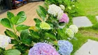 TẶNG FULL NỘI THẤT NHÀ ĐẸP NGUYỄN SƠN 65m2 - , MT 3,8- 5 TẦNG THANG MÁY