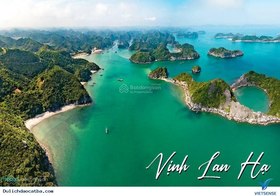 Đất mặt đường Núi Ngọc trung tâm Thị Trấn Cát Bà xây khách sạn siêu đẹp