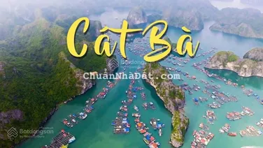 Đất mặt đường Núi Ngọc trung tâm Thị Trấn Cát Bà xây khách sạn siêu đẹp
