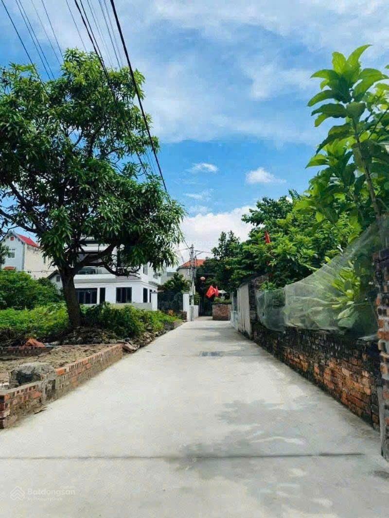 Lô góc Cổ Dương, Tiên Dương, mặt tiền gần 6m