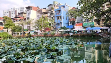 Chính chủ nhờ bán lô đất Đại Cát, 59m², MT rộng 5m, ngõ ô tô 5 tạ, giá 5,2 tỷ có TL, hỗ trợ banks