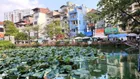 Chính chủ nhờ bán lô đất Đại Cát, 59m², MT rộng 5m, ngõ ô tô 5 tạ, giá 5,2 tỷ có TL, hỗ trợ banks