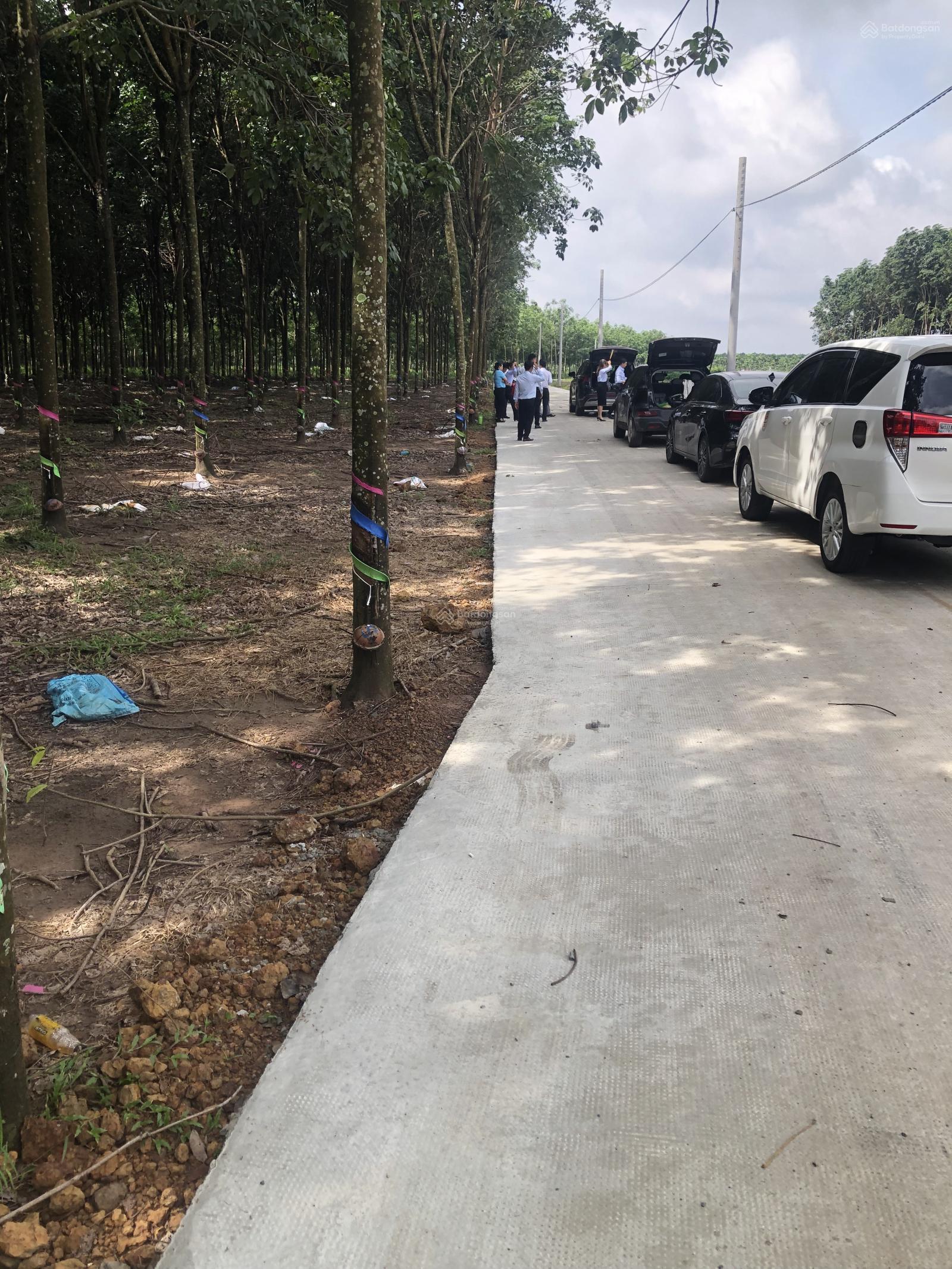 Bán đất 200m2, 430 triệu ở Xã Minh Thắng, Chơn Thành, Bình Phước, giá cực chất