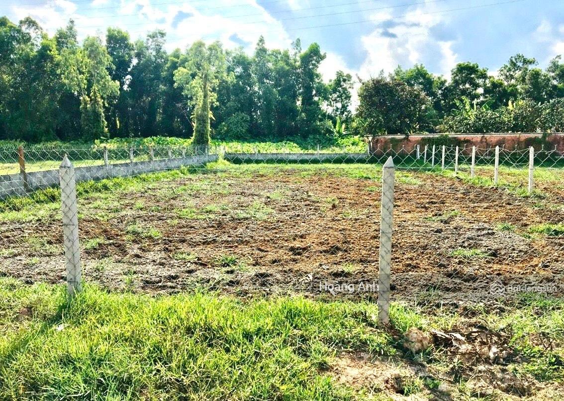 BÁN ĐẤT 384M2 ẤP TRẢNG SA, XÃ ĐÔN THUẬN, TRẢNG BÀNG TÂY NINH 550 TRIỆU