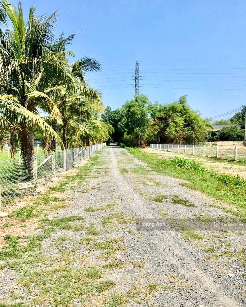 BÁN ĐẤT 384M2 ẤP TRẢNG SA, XÃ ĐÔN THUẬN, TRẢNG BÀNG TÂY NINH 550 TRIỆU