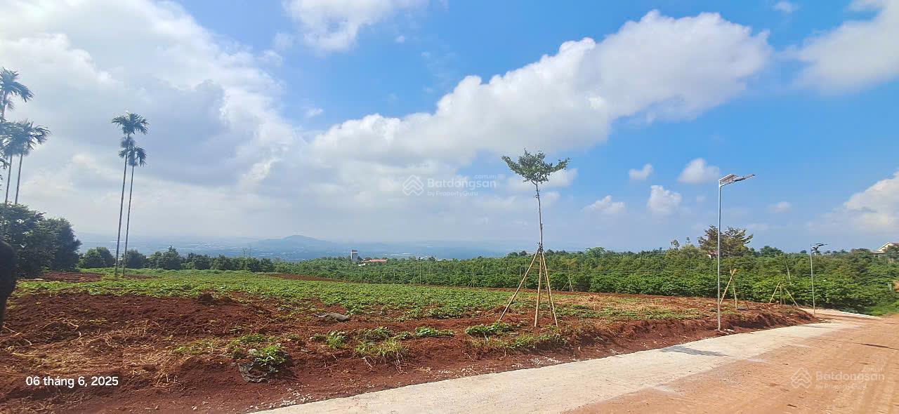 Đất view săn mây ven Đà Lạt giá tốt 680 triệu, 344 m2