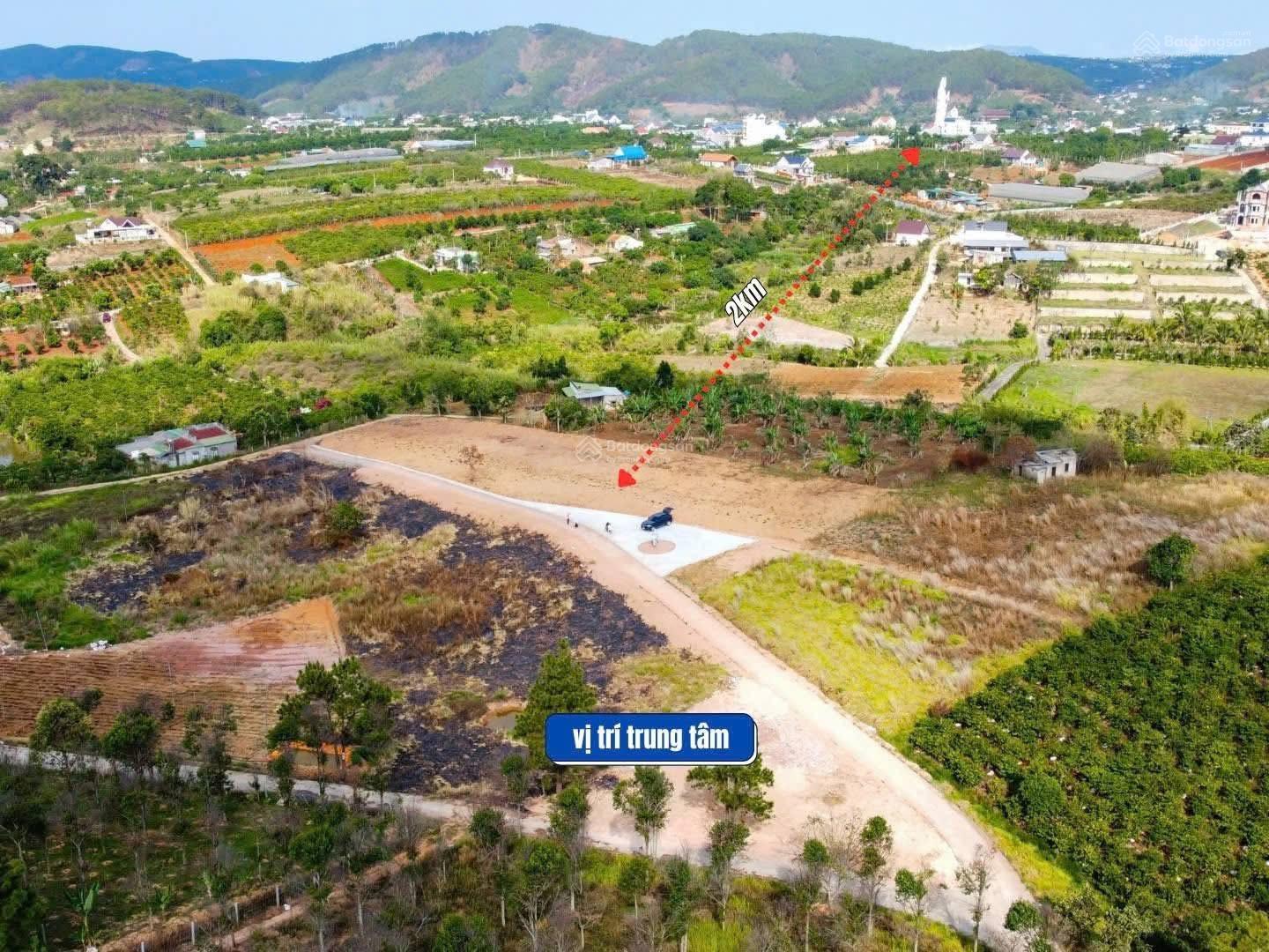 Đất đẹp Nam Ban - Lâm Hà, giá chỉ 499 triệu! View đồi thông ôm quanh