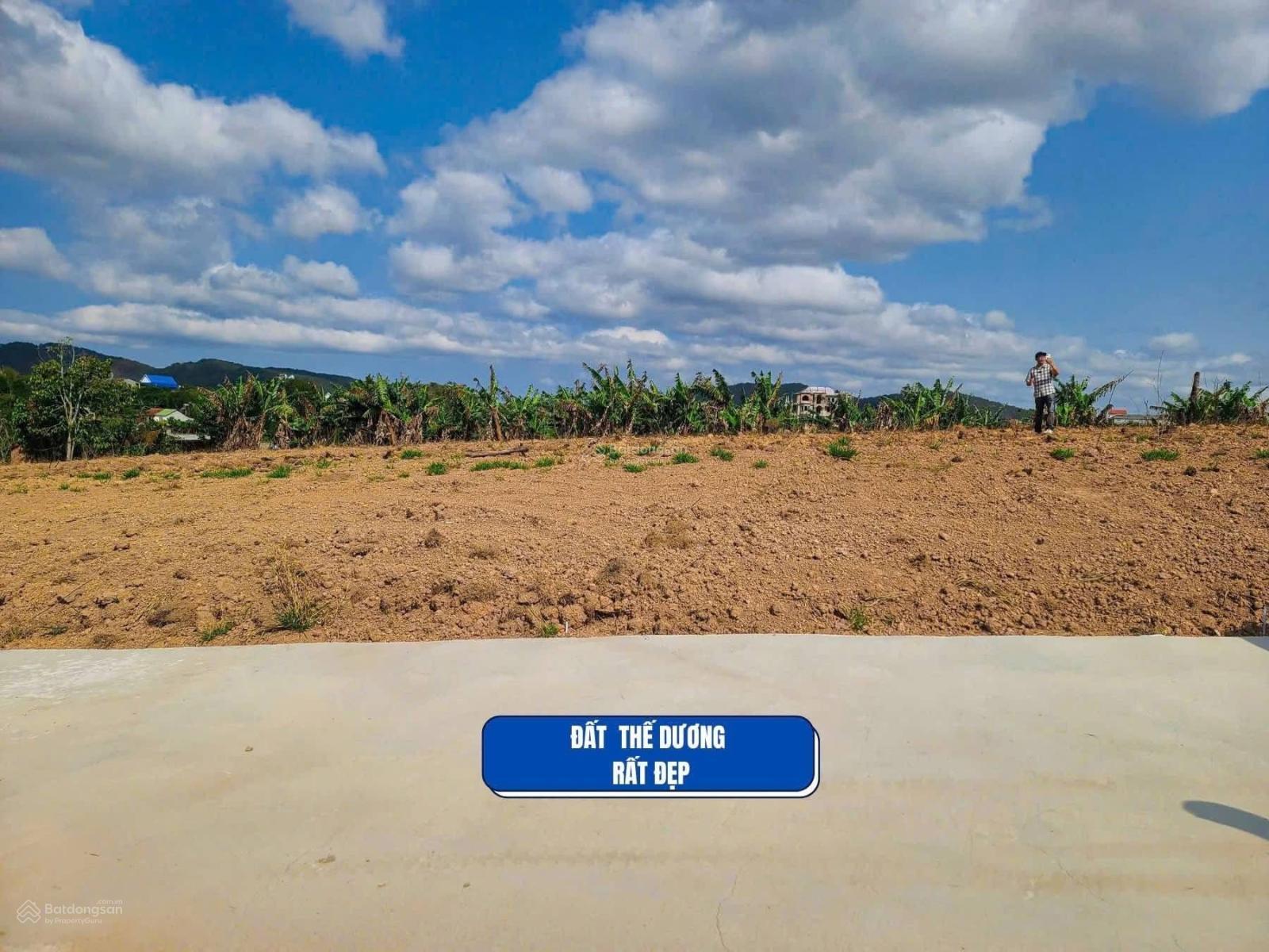 Đất đẹp Nam Ban - Lâm Hà, giá chỉ 499 triệu! View đồi thông ôm quanh Đất đẹp Nam Ban - Lâm Hà, giá chỉ 499 triệu! View đồi thông ôm quanh