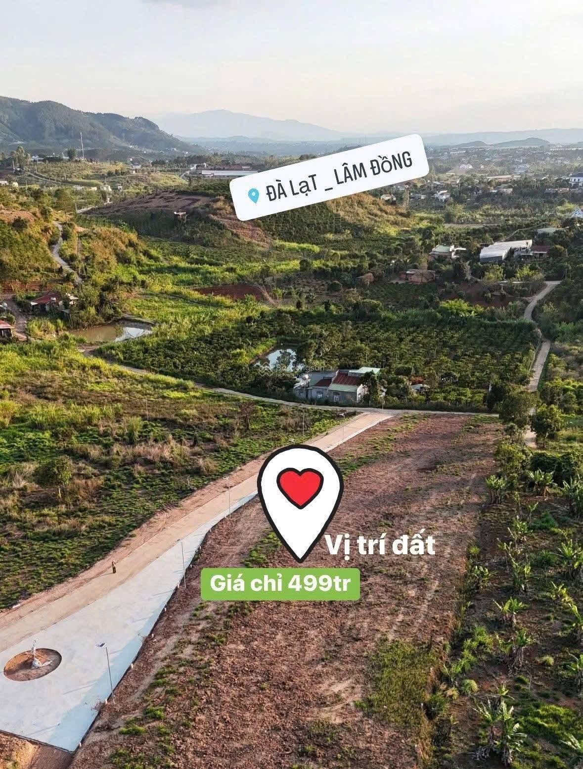 Đất đẹp Nam Ban - Lâm Hà, giá chỉ 499 triệu! View đồi thông ôm quanh Đất đẹp Nam Ban - Lâm Hà, giá chỉ 499 triệu! View đồi thông ôm quanh