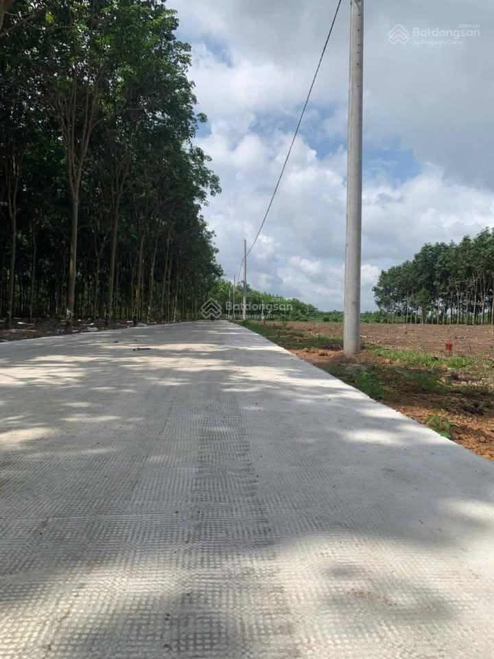 Bán đất Chơn Thành Đồng Nai cơ hội đầu tư và an cư mặt tiền 12 mét