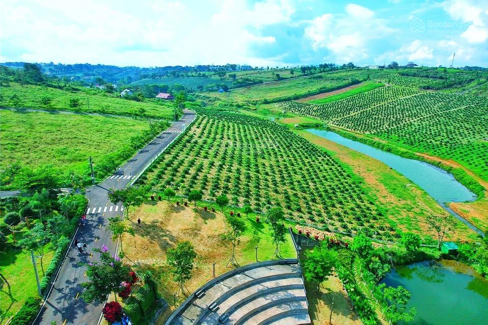 ĐẤT VIEW ĐẸP GIÀNH CHO NHỮNG NGƯỜI ĐẸP VÀ DỊU DÀNG