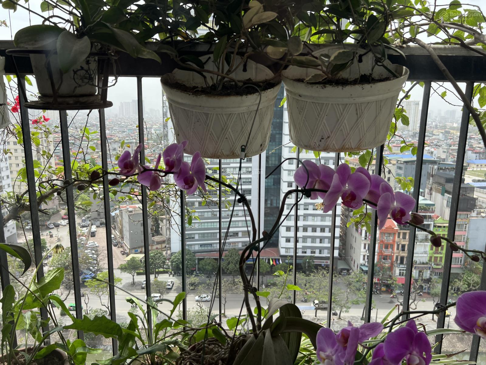 Chính chủ cần cho thuê căn hộ 71m2 tại Helios Tower 75 Tam Trinh, Hà Nội