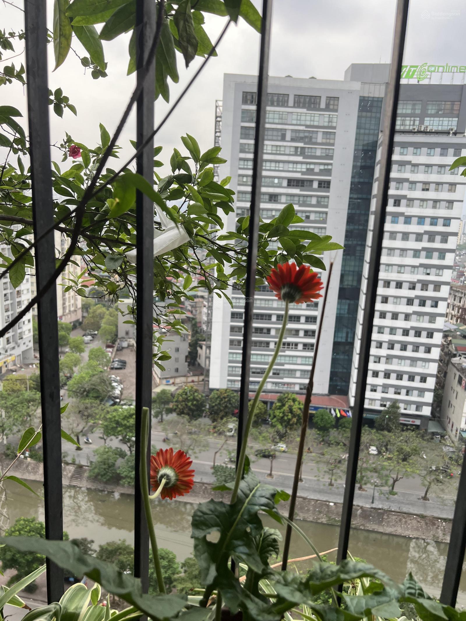 Chính chủ cần cho thuê căn hộ 71m2 tại Helios Tower 75 Tam Trinh, Hà Nội