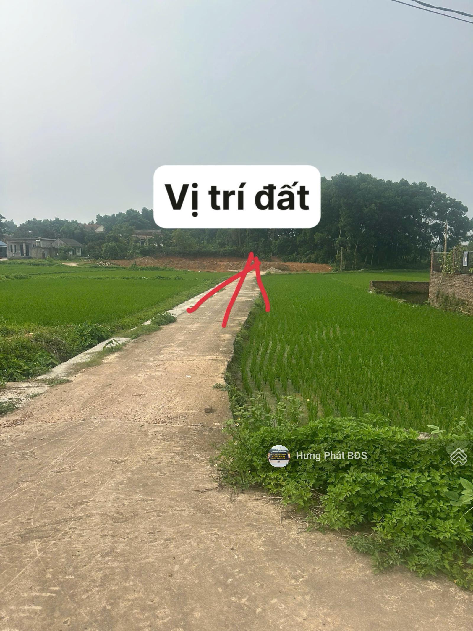 Hàng hiếm tại Bắc Sơn, Sóc Sơn, Hà Nội, 6,7 tỷ, đã phân 5 lô, mỗi lô 100m2 thổ cư