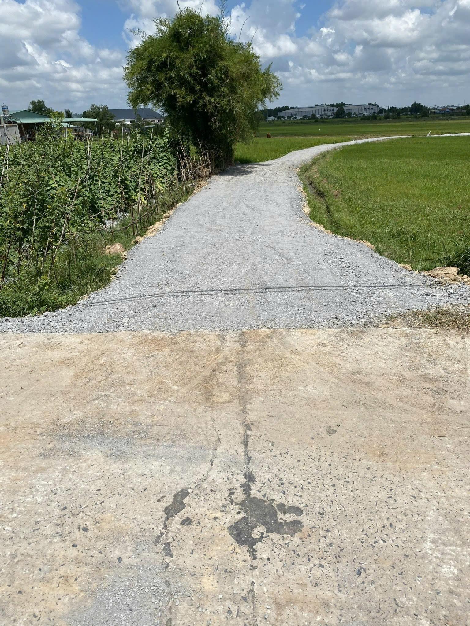 Đất trồng cây 1112m2, Trung Lập Thượng, Củ Chi, ngang 25m, cách TL7 30m, khu đông dân, 2.5 tỷ TL