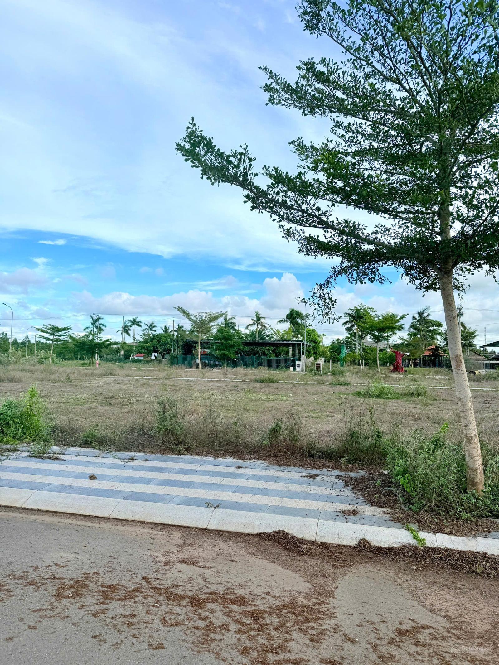Bán đất đường nhựa vỉa hè - Khu Bòn Bon Long Tân - Long Đất, ngay TL52 - ngang 6x18m giá chỉ 930tr Bán đất đường nhựa vỉa hè - Khu Bòn Bon Long Tân - Long Đất, ngay TL52 - ngang 6x18m giá chỉ 930tr