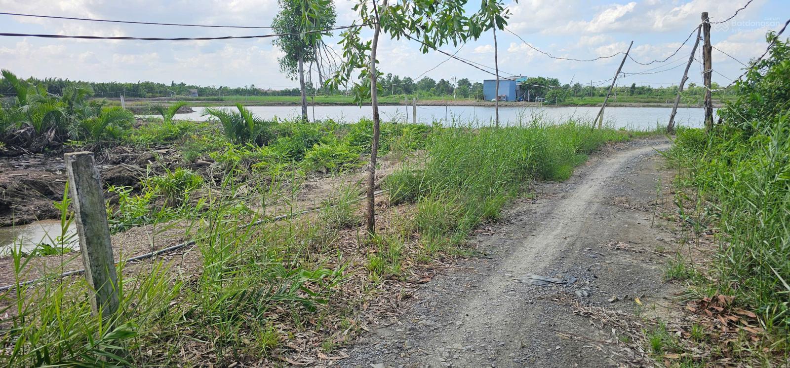 Bán gấp, hàng cực hiếm hơn 4.000m2 đất Bình Khánh, giá rẻ bèo 860K/m2