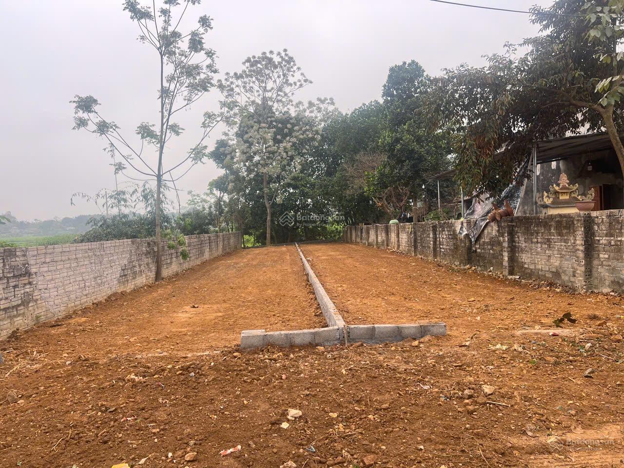 Bán lô đất trục chính Vân Hoà, hàng hiếm, kinh doanh 5m mặt tiền