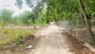Bán đất Thới Hoà 124m2, giá 1,3tỷ còn TL - xung quanh nhiều KCN - phù hợp đầu tư tăng dòng vốn