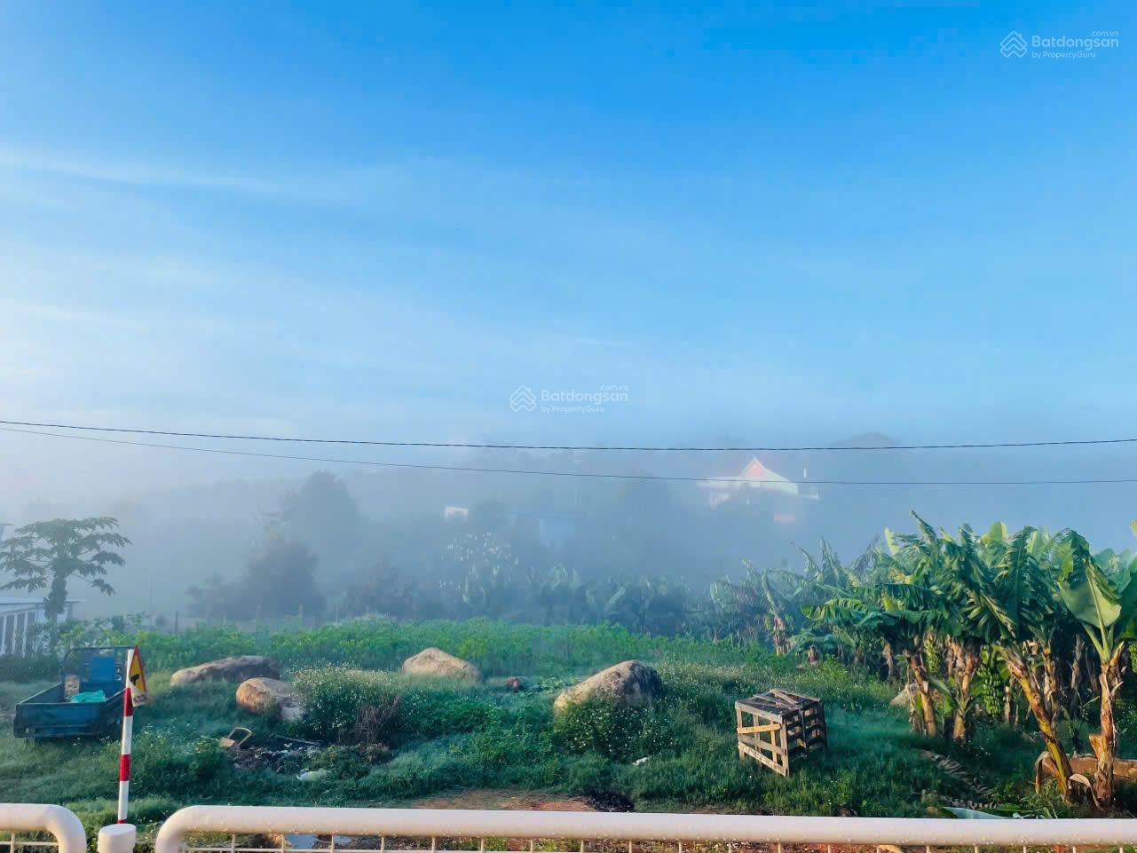 Chính Chủ Cần Bán Lô Đất Trên Đồi View Săn Mây, DT 140m² Thổ Cư Toàn Phần, Sang Tên Công Chứng Ngay