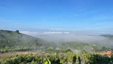 Chính Chủ Cần Bán Lô Đất Trên Đồi View Săn Mây, DT 140m² Thổ Cư Toàn Phần, Sang Tên Công Chứng Ngay