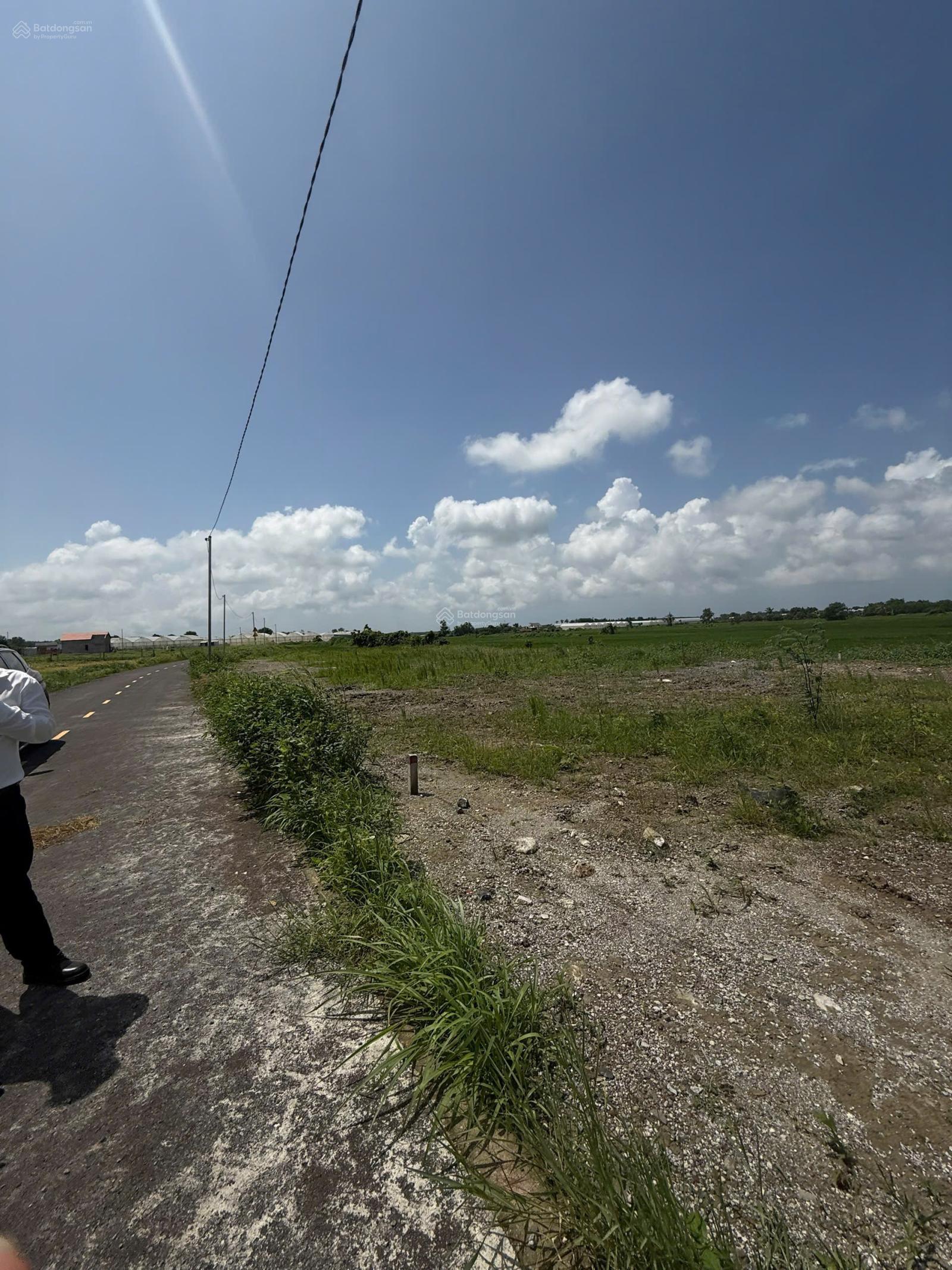 Bán Đất tại Xã Láng Dài, Long Đất, Bà Rịa Vũng Tàu, 6,8 triệu / m2, 100 m2 uy tín giá tốt