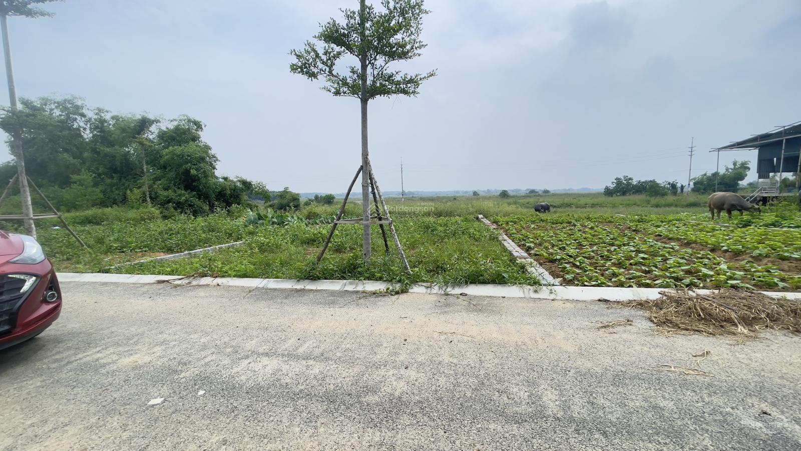 Chỉ với 3 tỷ đã sở hữu 100m2 full ONT tại Phú Cát Hà Nội, 200m2 full tiện ích
