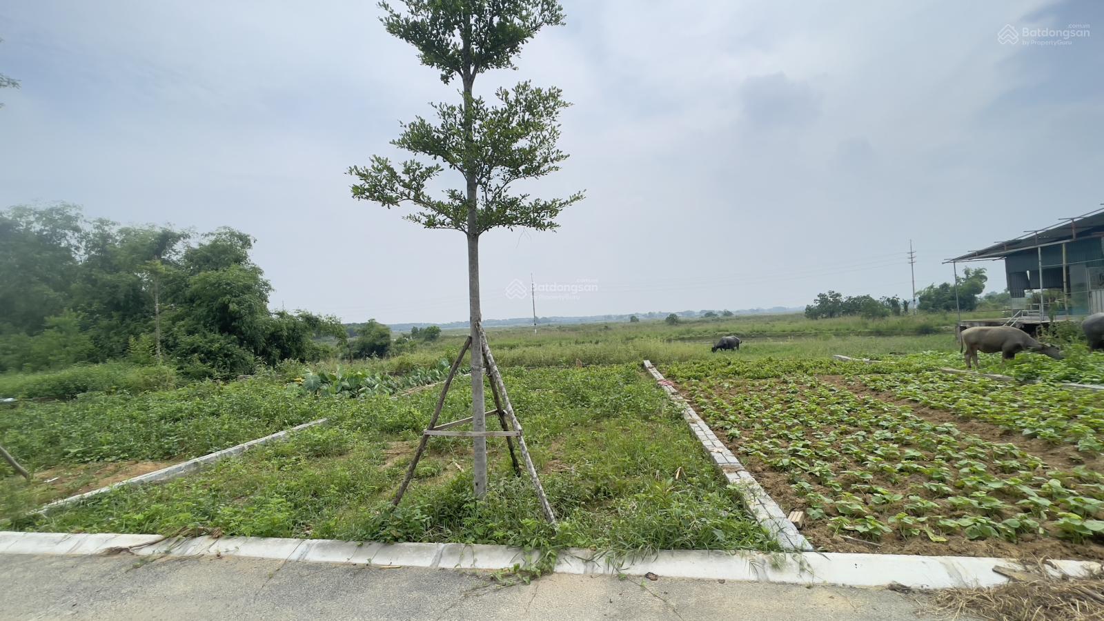 Chỉ với 3 tỷ đã sở hữu 100m2 full ONT tại Phú Cát Hà Nội, 200m2 full tiện ích