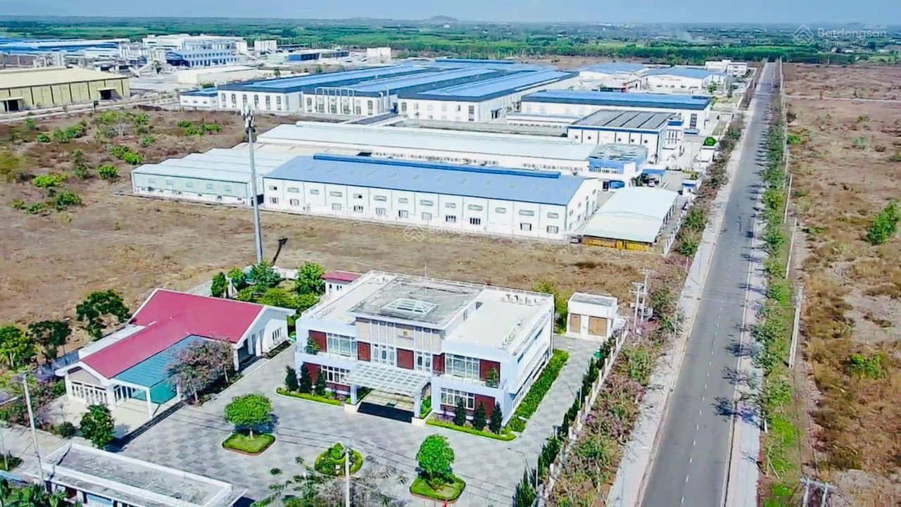 1700m² đất mặt tiền Phạm Hùng ngay cổng KCN Đất Đỏ, Bà Rịa Vũng Tàu, sổ riêng - Giá chỉ 2,8 tỷ