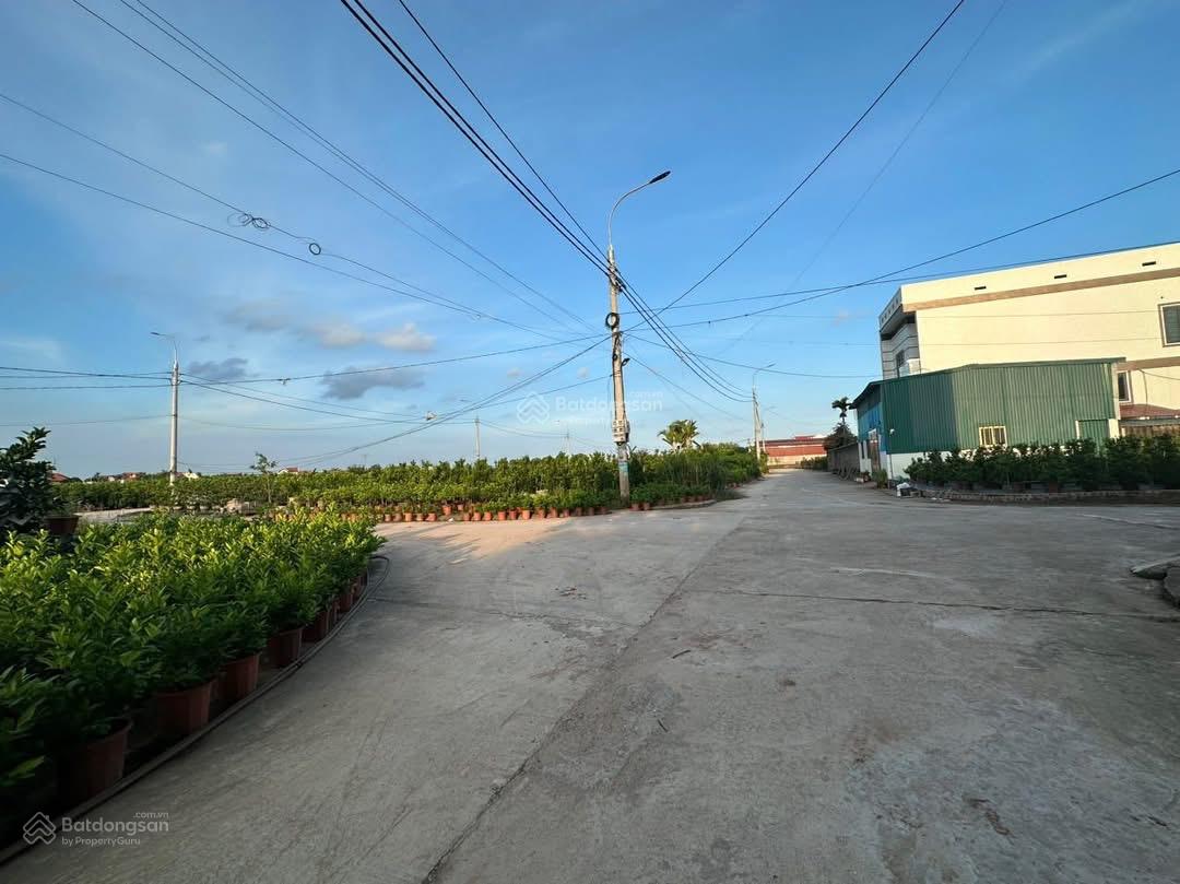 Chính chủ gửi bán lô áp góc đấu giá Mễ Sở 97m2 giáp vành đai 4 chỉ 300m, xung quanh dân cư giàu có