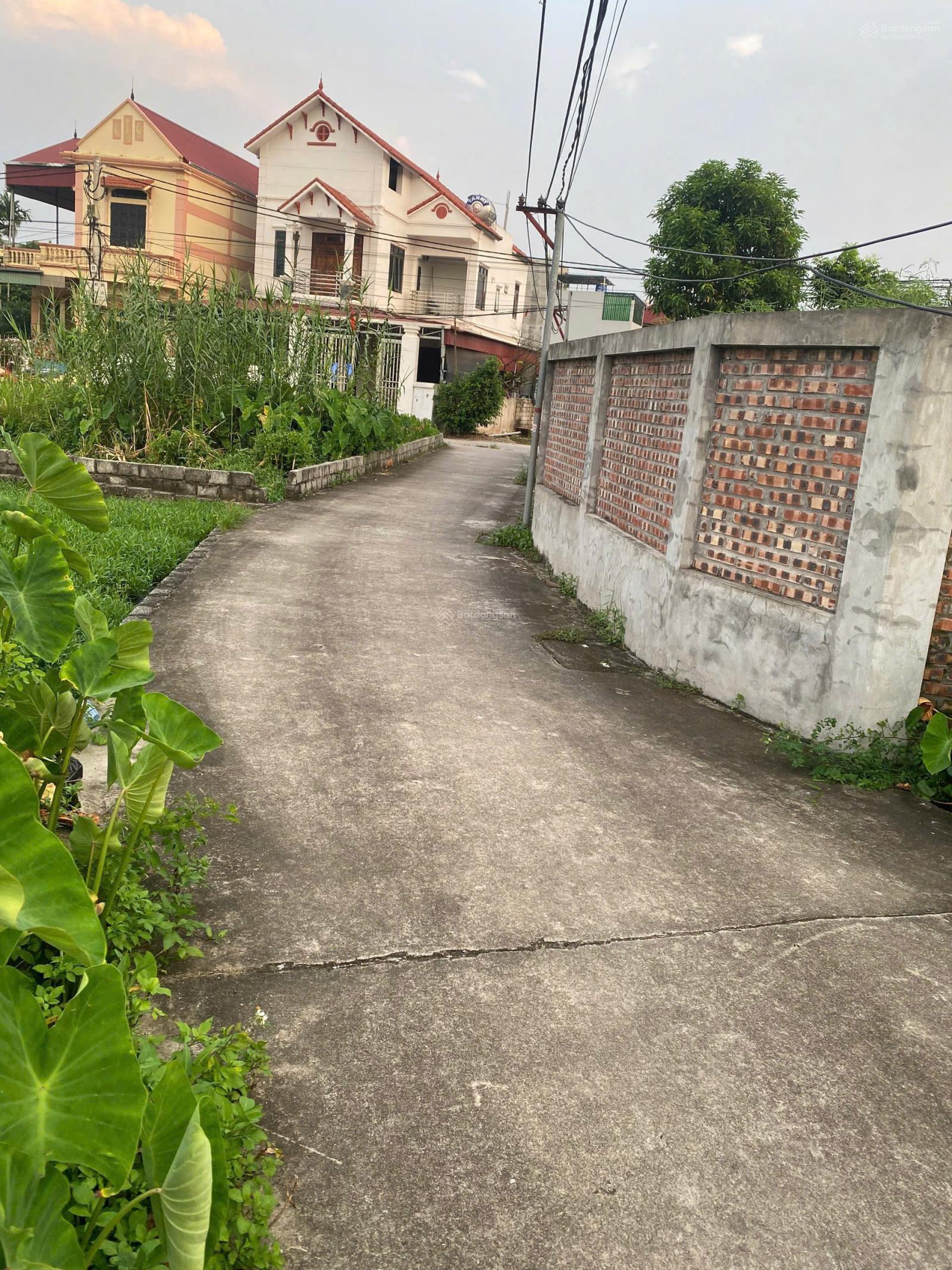 Chính chủ gửi bán nhà cấp 4 Thư Phú - Thường Tín Chính chủ gửi bán nhà cấp 4 Thư Phú - Thường Tín