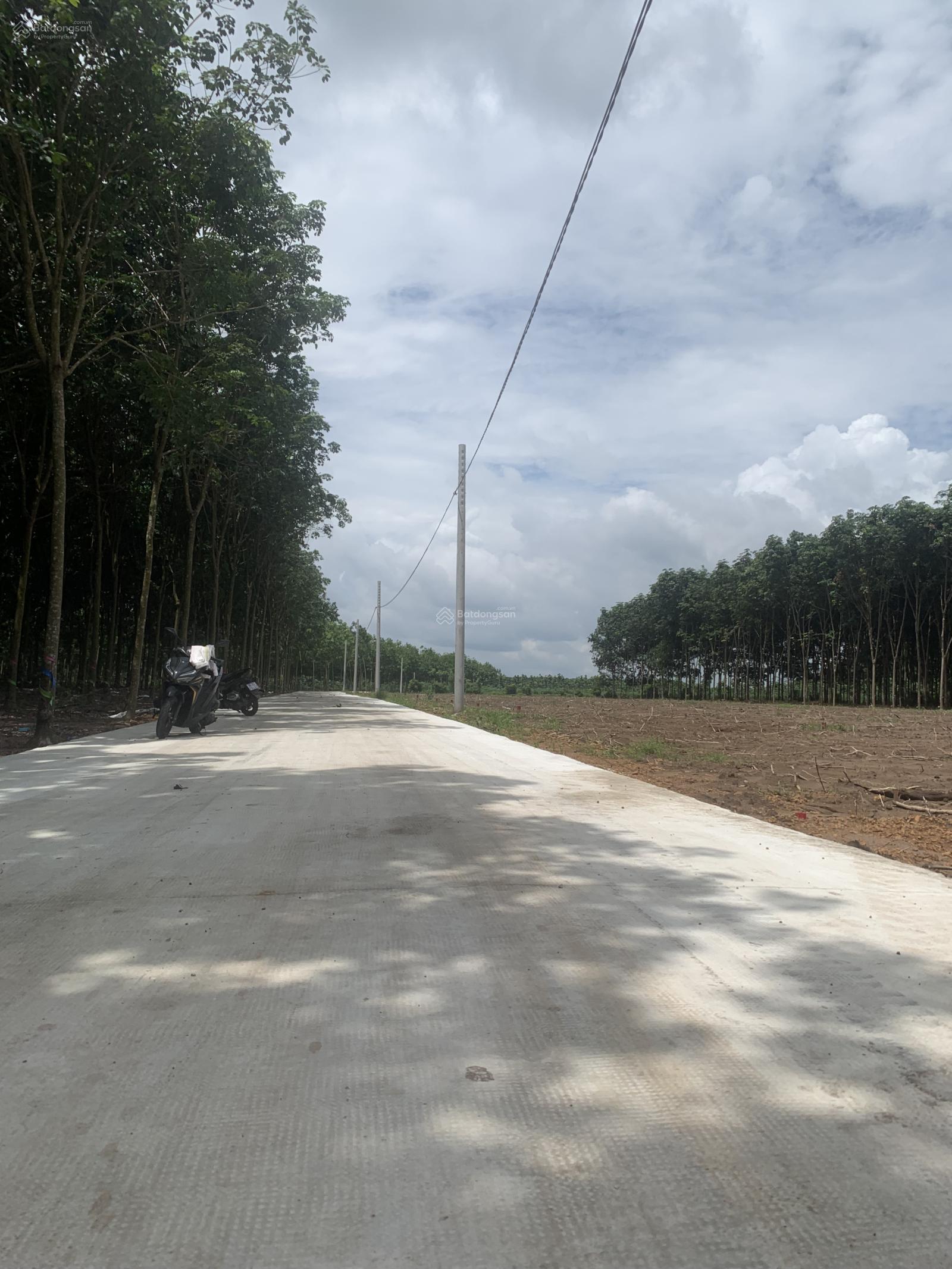 Một cặp liền kề ngay thị xã Chơn Thành