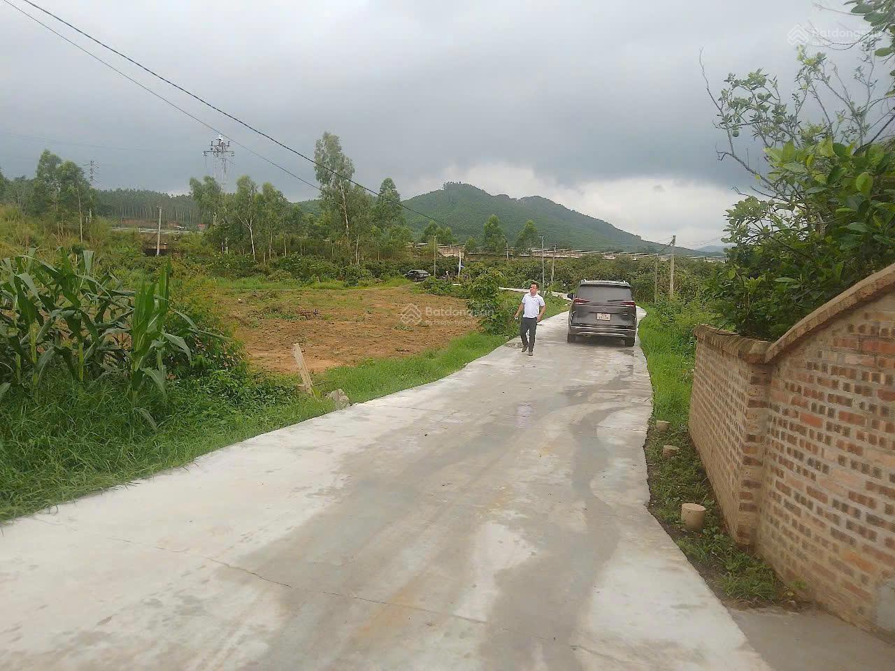 Bán đất tại Vô Tranh, Lục Nam, Bắc Giang, 580 triệu, 238.8 m2 ,sẵn thổ cư 75m2(ONT) ,giá tốt