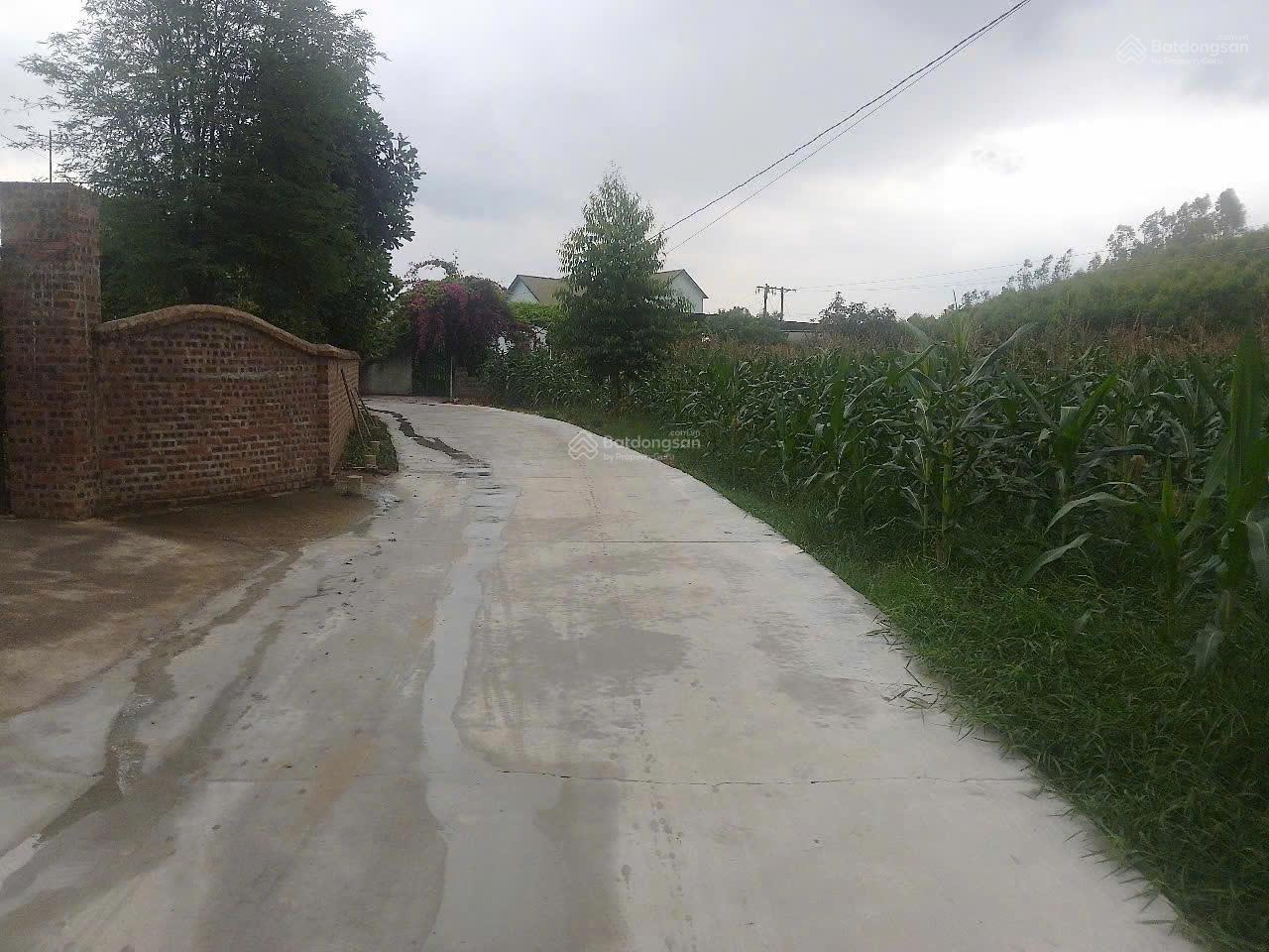 Bán đất tại Vô Tranh, Lục Nam, Bắc Giang, 580 triệu, 238.8 m2 ,sẵn thổ cư 75m2(ONT) ,giá tốt