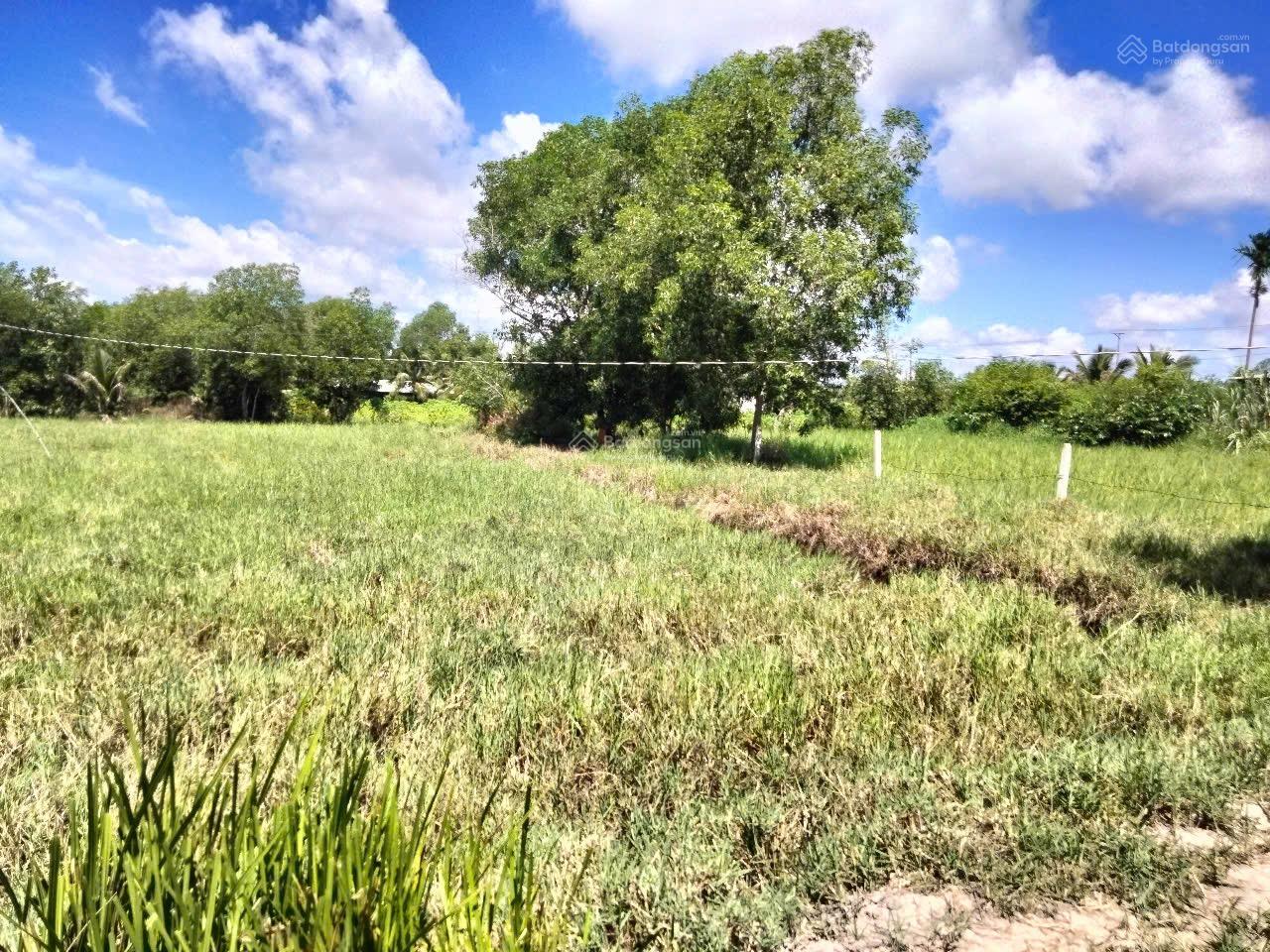 Chính chủ cần bán đất mặt tiền đường Tỉnh Lộ 839, xã Bình Thành, Đức Huệ DT 3000m2 có 1500m2 thổ cư